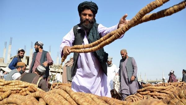Афганистан попросил РФ проработать пути развития двухсторонней торговли<br />
