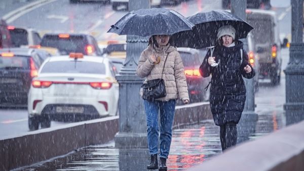 Москвичей предупредили о грозах с дождем в ночь на 20 января<br />
