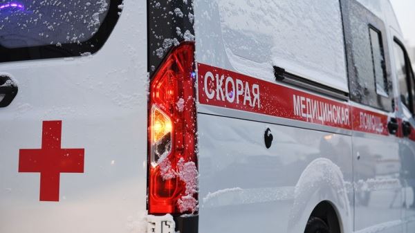 В Удмуртии автогрейдер насмерть задавил трехлетнюю девочку во время уборки снега 